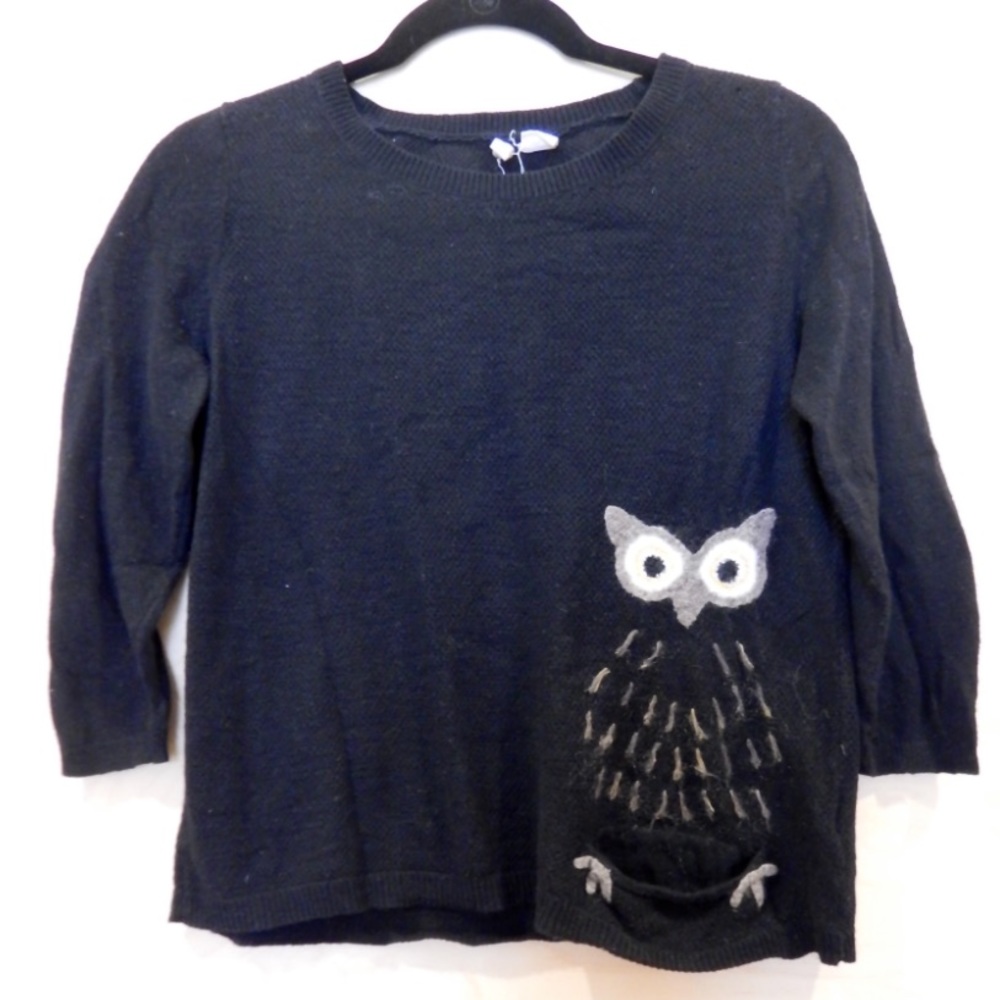 Anthropologie Moth Wiserly Embroidered Owl Sweater